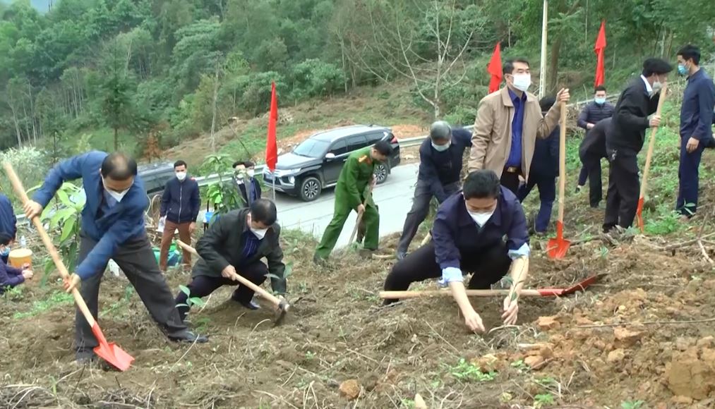 Huyện Yên Minh, Hoàng Su Phì phát động Tết trồng cây Xuân Nhâm Dần 2022