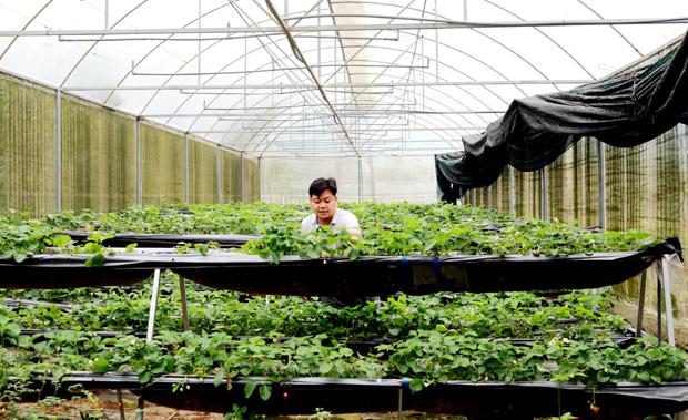 Tuổi trẻ khởi nghiệp, lập nghiệp, xây dựng và phát triển đất nước
