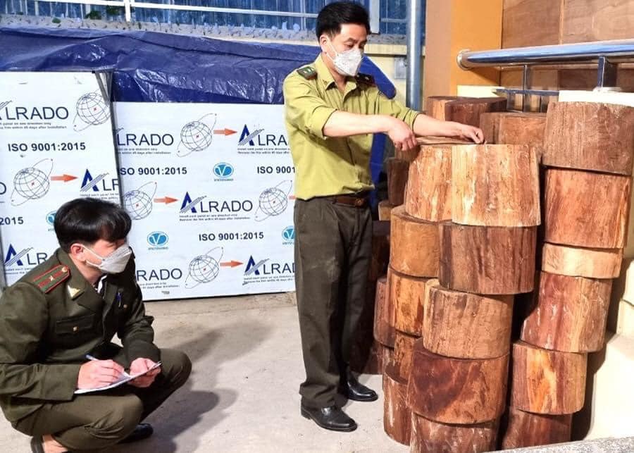 Phát hiện, thu giữ 46 khúc gỗ nghiến dạng thớt được tập kết ven rừng