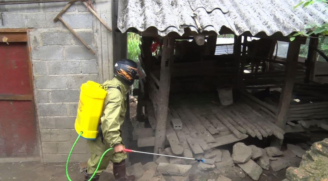 Đồng Văn công bố dịch bệnh viêm da nổi cục trên đàn trâu bò