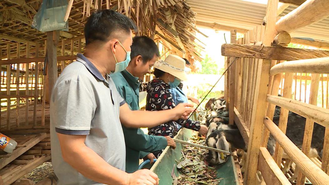 Tân Nam nỗ lực về đích Nông thôn mới