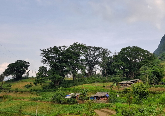 Du xuân Hà Giang ở 5 bản làng nguyên sơ