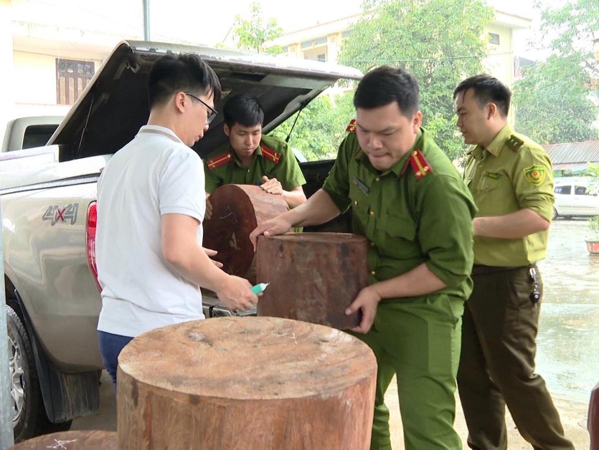 Công an Vị Xuyên bắt giữ 43 khúc gỗ nghiến