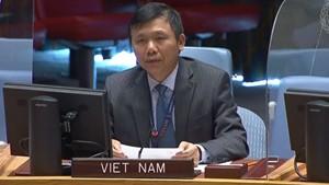 Việt Nam kêu gọi HĐBA thúc đẩy tiếp cận vaccine công bằng, giá cả phải chăng, thu hẹp khoảng cách giữa các nước