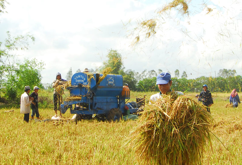 Đẩy mạnh lưu thông vận chuyển hàng hóa, thu hoạch nông sản