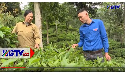 Gương anh Nguyễn Ngọc Dương - Thanh niên tiêu biểu trong phát triển kinh tế - Ngày 25/3/2021