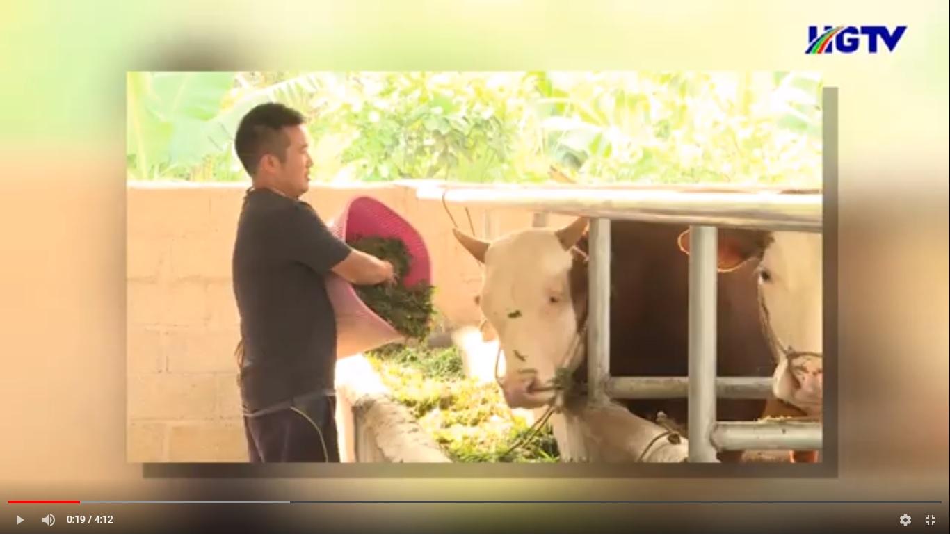 Gương sáng nông dân làm kinh tế giỏi - 8/4/2021