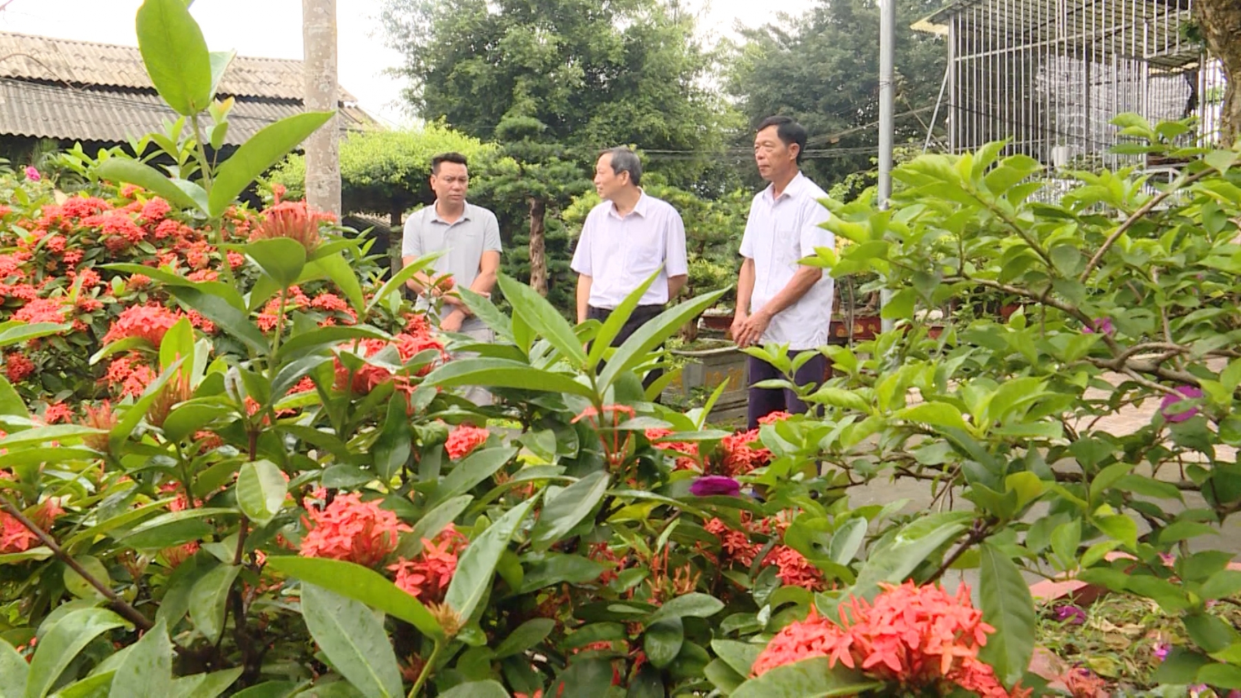 Gương ông Trần Văn Giang - Người "Vác tù và" giàu nhiệt huyết - Ngày 16/6/2022