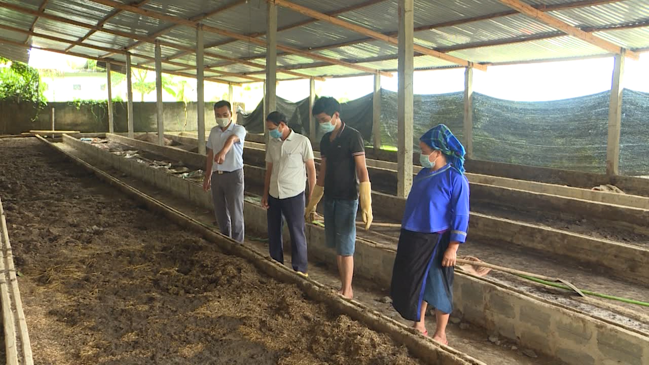 Gương bà Thèn Thị Rọt phát triển kinh tế từ chăn nuôi tổng hợp - Ngày 20/10/2021