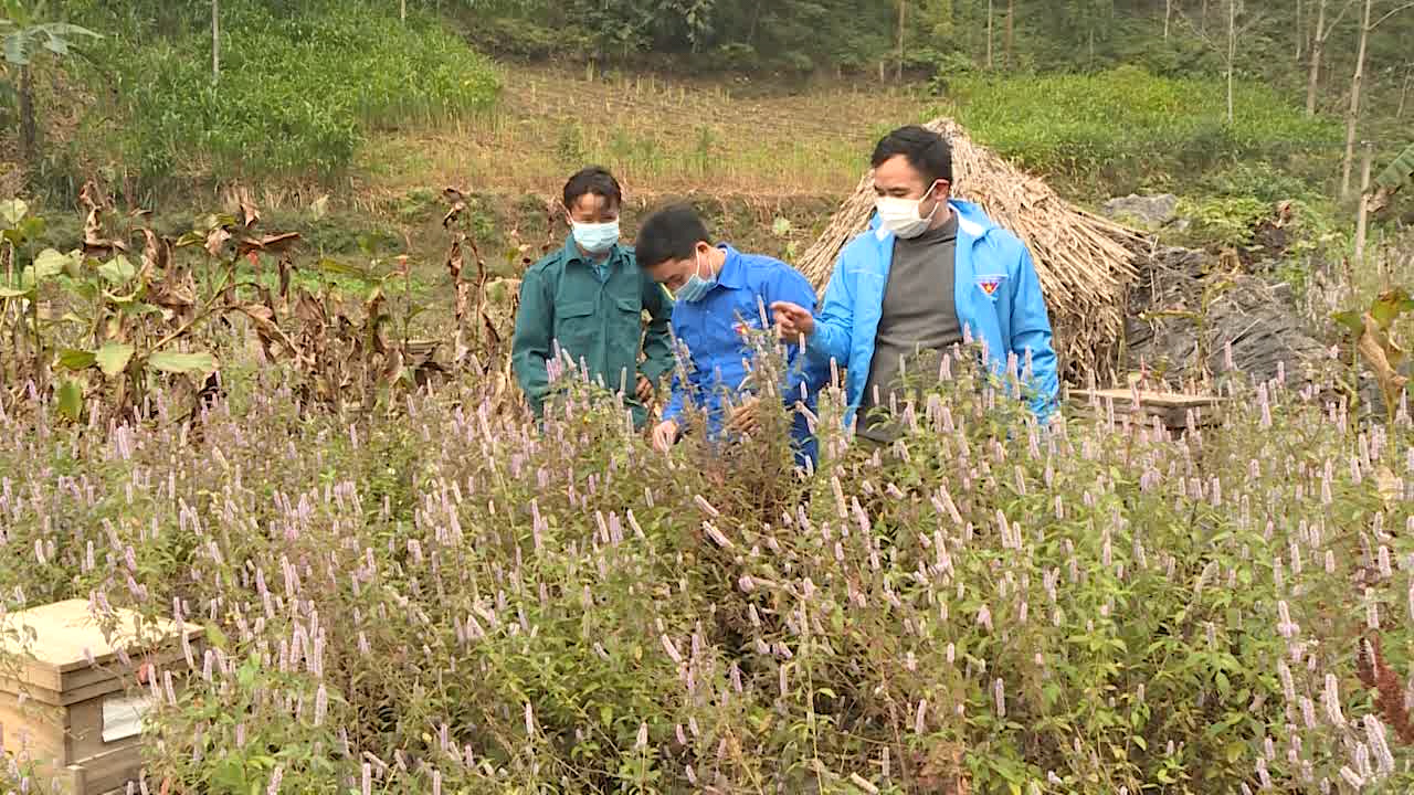 Gương anh Hà Văn Ngọc khởi nghiệp từ mô hình HTX thanh niên - Ngày 23/12/2021