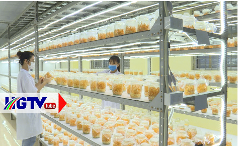 Đảm bảo phát triển kinh tế vì mục tiêu kép - Ngày 18/3/2021