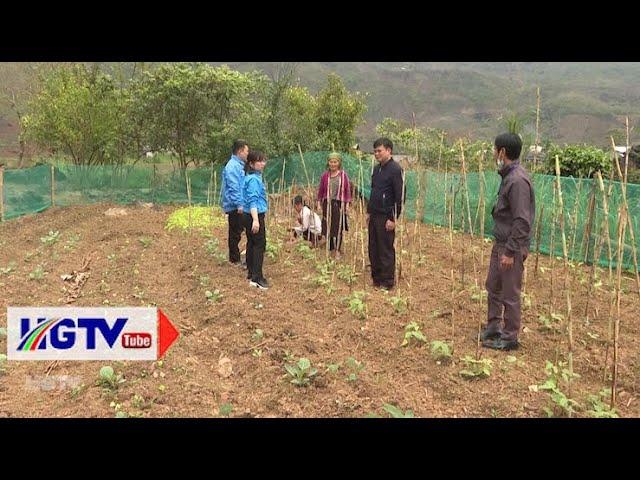 Sự vào cuộc của các cấp, ngành trong cải tạo vườn tạp ở Quản Bạ - Ngày 15/3/2021